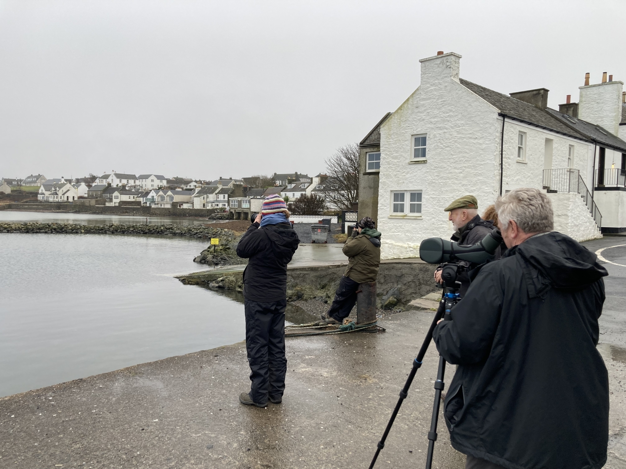 The group watching the kingfisher in Bowmore Harbour